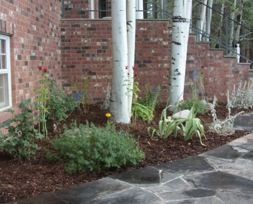Landscaping by Ground Control Landscaping - Durango Colorado