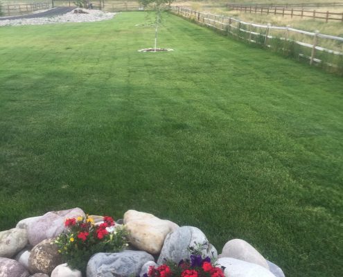Landscaping By Rock Garden Built By Ground Control Landscaping - Durango Colorado